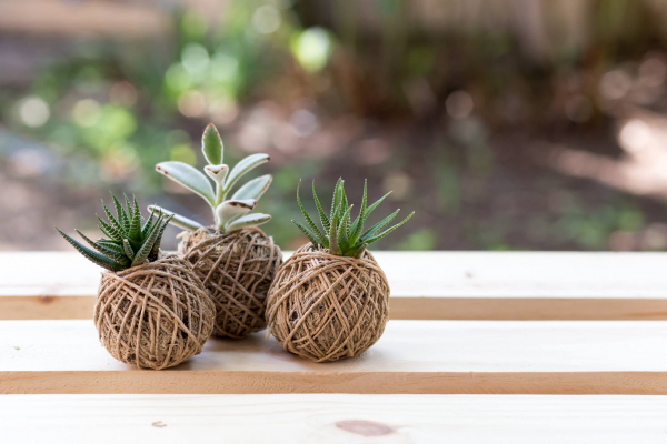 Oficina de Kokedamas com Camila Borges (Oficina Obi)
